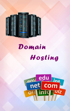 domain hosting mahabalipuram